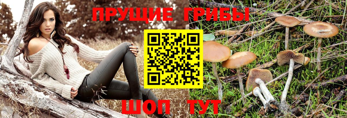Псилоцибиновые грибы Magic Shrooms  Вход с VPN  Шатура 